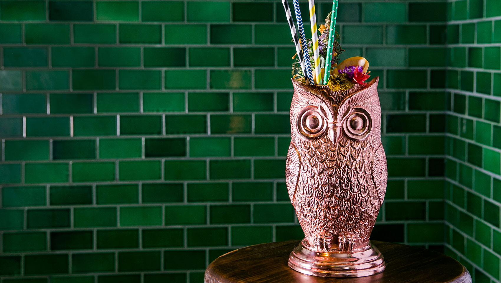 Colorful Owl Drink and Straws